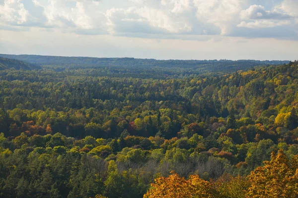 Krásná Podzimní Krajina Korunami Stromů Zbarvená Žlutě Oranžově Červeně Zeleně — Stock fotografie