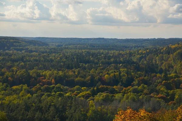 Осенний Пейзаж Верхушками Деревьев Окрашенными Желтый Оранжевый Красный Зеленый Цвета — стоковое фото