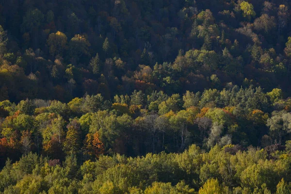 Krásná Podzimní Krajina Korunami Stromů Zbarvená Žlutě Oranžově Červeně Zeleně — Stock fotografie