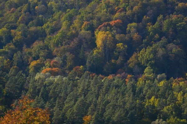 Όμορφο Φθινοπωρινό Τοπίο Κορυφές Δέντρων Χρωματισμένες Κίτρινο Πορτοκαλί Κόκκινο Και — Φωτογραφία Αρχείου