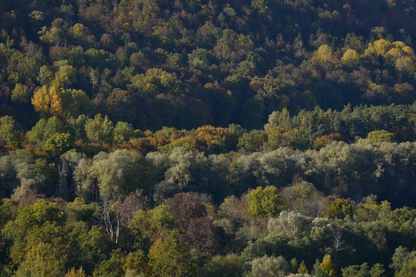 Krásná Podzimní Krajina Korunami Stromů Zbarvená Žlutě Oranžově Červeně Zeleně — Stock fotografie