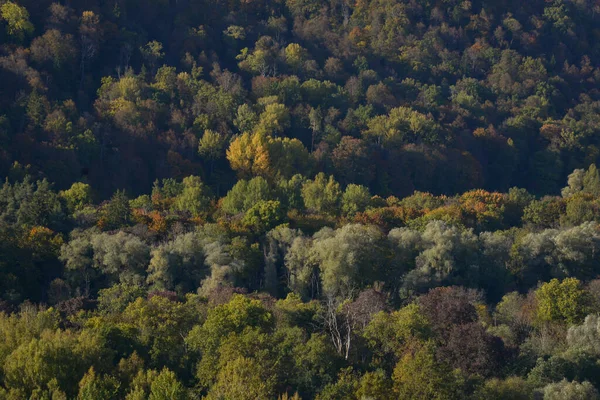 Krásná Podzimní Krajina Korunami Stromů Zbarvená Žlutě Oranžově Červeně Zeleně — Stock fotografie