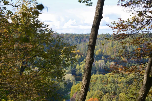 Herfst Landschap Met Kleurrijke Boombladeren — Stockfoto