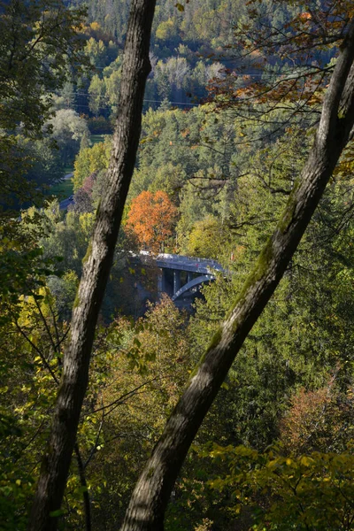 Podzimní Krajina Barevnými Listy Stromů Most Přes Řeku Vidět Dálce — Stock fotografie