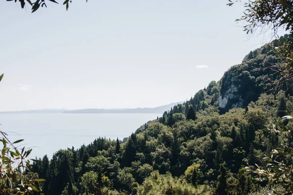 希腊水边绿树成林的景象 背景是山 前景是树枝 — 图库照片