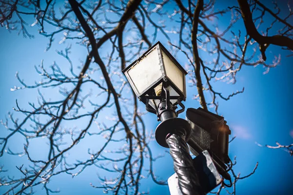 Typowy Projekt Lampy Ulicznej Budapeszcie Węgry Zamazane Niebieskie Tło — Zdjęcie stockowe