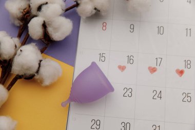 Takvimde pamuk dalıyla yeniden kullanılabilir mor regl kupası. Kadın hijyen kavramının çevre dostu yolu