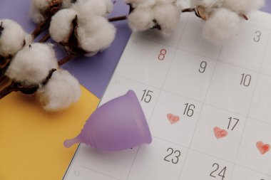 Takvimde pamuk dalıyla yeniden kullanılabilir mor regl kupası. Kadın hijyeni kavramının çevre dostu yolu. Üst görünüm