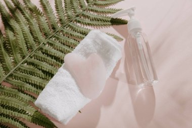 Eğrelti otu yaprağında yüz masajı aletleri. Pembe arka plandaki yaprakların gri gölgesi