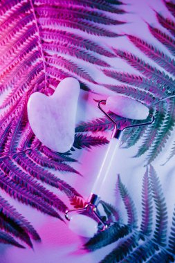 Gua sha ve masaj silindiri eğrelti otu yaprağında neon ışıkta. Dikey görüntü. Scincare konsepti