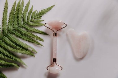 Masaj silindiri ve tropik eğrelti otu yapraklı Gua sha masaj kazıyıcısı. Üst Manzara. Scincare konsepti