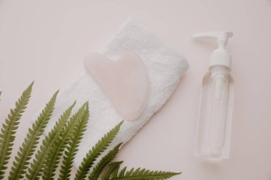 Gua sha ve eğreltiotu ile güzellik ürünü. Scin bakım konsepti