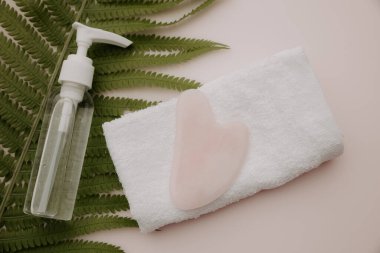 Gua sha masaj kazıyıcısı ve pembe arka planda eğrelti otu yaprağı olan güzellik ürünü.
