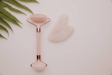 Pembe arka planda eğrelti otu yaprağı olan paten ve gua sha masaj kazıyıcısı. Üst görünüm