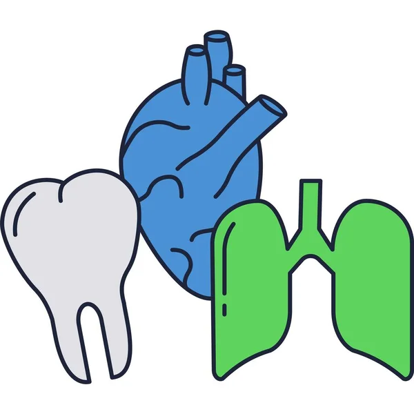 Anatomy icon vector tooth, lungs and heart — Stock Vector