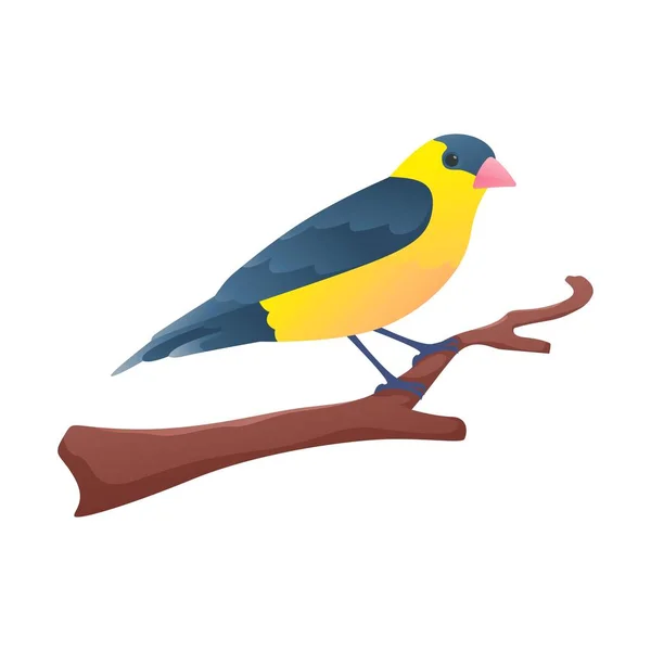 少ないGoldfinch孤立した背景を持つ枝に腰掛け — ストックベクタ