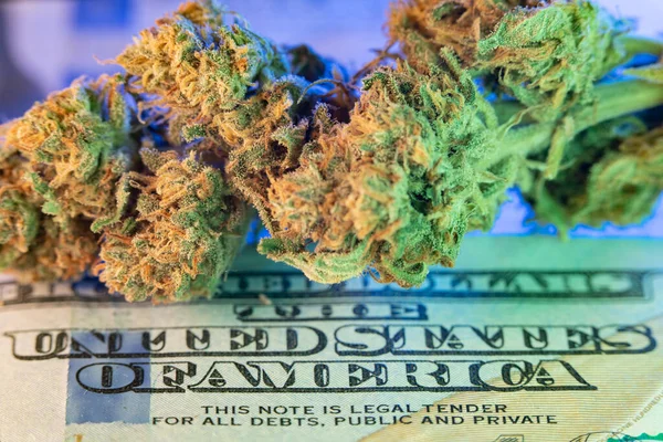 Cannabis Hennep Bovenop Een Biljet Van Honderd Dollar Contant Geld — Stockfoto