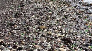 Atlantik Okyanusu 'ndaki son derece kirli plaj. Çöpler, çöpler ve kumsaldaki kumları kaplayan atıklar. Cam huzurlar güzel plajı kirletir. Geri dönüşüm hatası