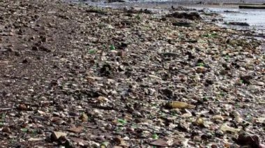 Atlantik Okyanusu 'nda yoğun kirlilik. Plaj çöp ve çöp dolu. Sahilde atılmış bir çöp. New York 'ta Fıçı.