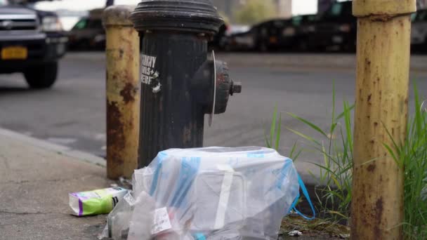 Trash New York Manhattan Illegal Dumped Plastics Side Road Nyc — Stock Video