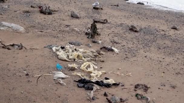 Waste Trash Beach Rubbish Shore East River Manhattan — Stockvideo