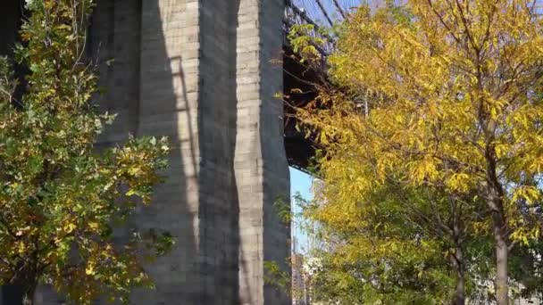 Brooklyn Bridge Park Brooklynie Nowy Jork Pusty Park Słynny Most — Wideo stockowe