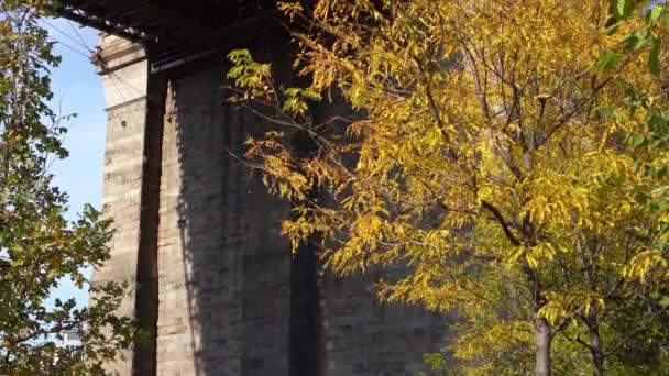 Famous Brooklyn Bridge View Brooklyn Bridge Park Fall Colors Beautiful — стоковое видео