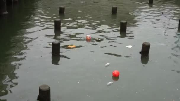 マンハッタンの水に流れるゴミ 汚くて汚染されたアメリカの水 ポート内の水にオレンジボール — ストック動画