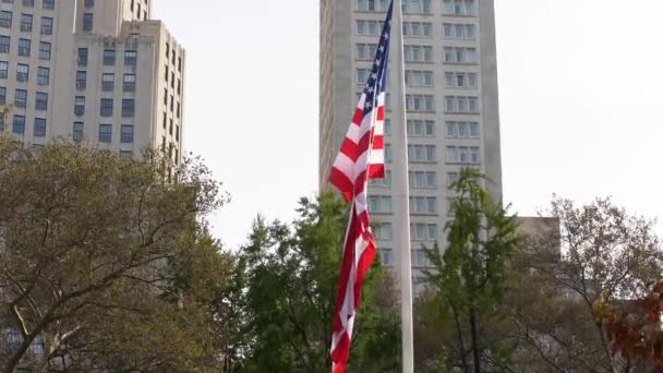 United States Flag Winds New York City Veterans Day Huge — Stockvideo