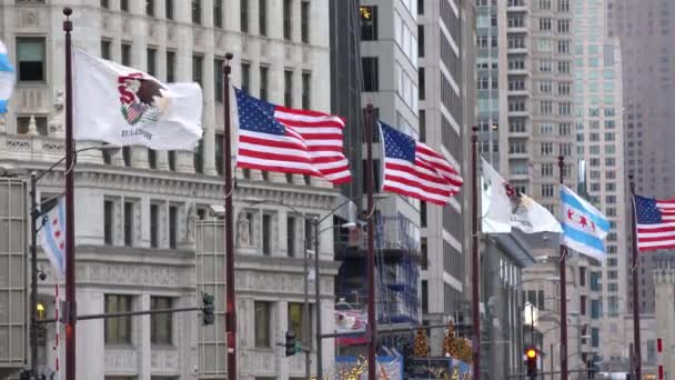 시카고 일리노이 2019 일리노이주 바람에 휘날리는 시카고 — 비디오