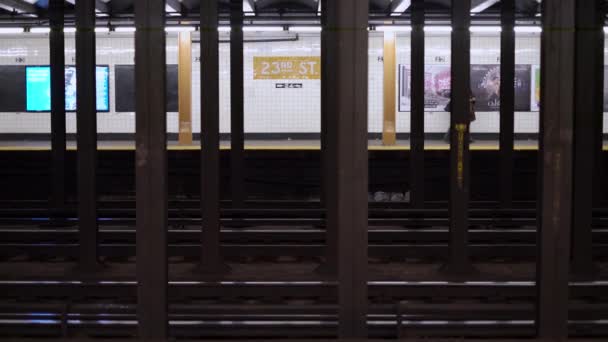 Manhattan New York États Unis Novembre 2019 23E Rue Station — Video