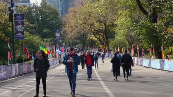 Manhattan Nova York Eua Novembro 2019 Pessoas Caminhando Central Park — Vídeo de Stock