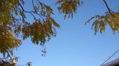 Brooklyn, New York, ABD - 26 Ekim. 2019: Brooklyn Köprüsü Arkaplanda Gökdelen ve güzel Mavi Gökyüzü