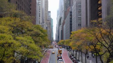 Manhattan, New York, ABD - 7 Kasım. 2019: Manhattan 'da 42. Cadde' de trafik vardı. New York 'a giden trafik sıkışıklığında düşen ağaçların ve arabaların tepeden aşağı manzarası