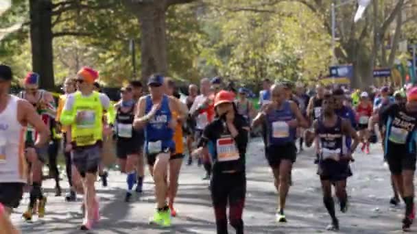 Brooklyn New York Usa Novembre 2019 Corridori Alla Maratona New — Video Stock