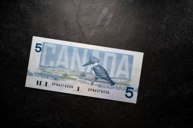 Toronto, Kanada - 30 Ekim. 2021: Kuş serisi Kanada Doları banknotu. Koyu arkaplanda beş CAD faturası