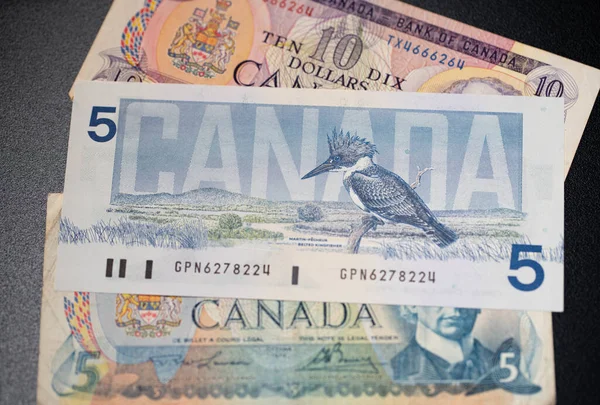 Toronto Canada October 2021 Five Canadian Dollar Banknotes Birds Canada — Stock Photo, Image