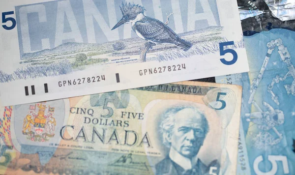 Toronto Canadá Octubre 2021 Hermosos Billetes Dólar Canadiense Cinco Dólares — Foto de Stock