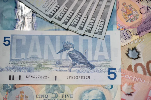 Toronto Canadá Octubre 2021 Billetes Dólar Canadiense Dólar Estadounidense Aves — Foto de Stock