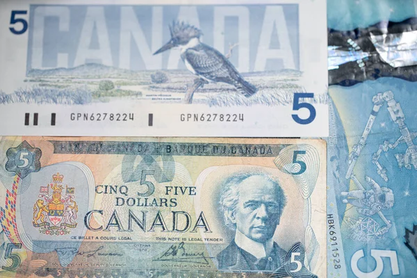 Toronto Kanada Oktober 2021 Bank Canada Uang Dari Kanada Uang — Stok Foto