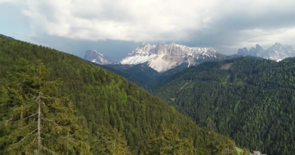 Laag Bomen Vliegen Richting Prachtige Berg Dolomieten Luchtalpen — Stockvideo