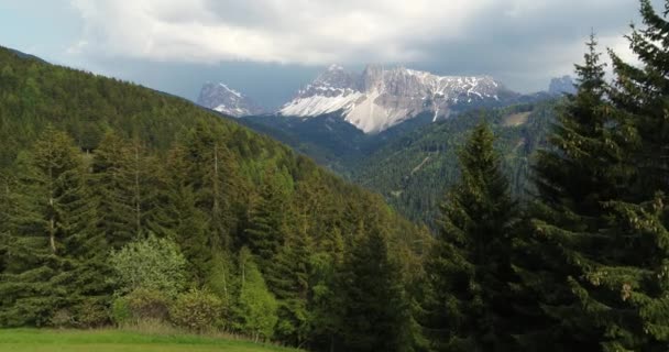 Aéreo Sobre Prado Sobre Copas Das Árvores Nas Dolomitas Norte — Vídeo de Stock