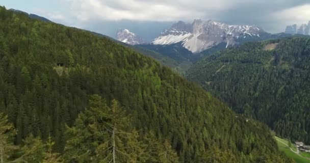 Panning Boomtoppen Met Epische Berg Achtergrond Antenne Dolomieten — Stockvideo