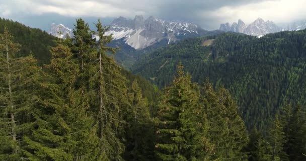 Vzduch Mezi Vrcholky Stromů Přecházející Přes Stromy Dolomitským Horám — Stock video