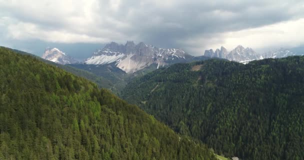 Langzame Antenne Panning Boomtoppen Dolomieten Alpen Achtergrond — Stockvideo