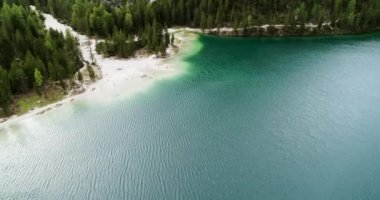 Ağaçlarla çevrili havadan manzara, göl ve sahil. Alplerdeki hava gölü. Dünyadaki cennet, Braies Gölü 'nde Dolomitler, Güney Tyrol. 4K 'da drone görüntüsü, Sea Water ve Sandy Beach' in üzerinde uçuyor.