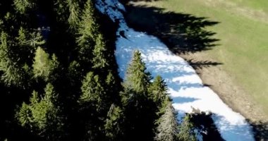 Orman ve çayırın üzerindeki havadan. Gölgelerde eriyen kar. 4K 'da yaz mevsiminde kayak pisti