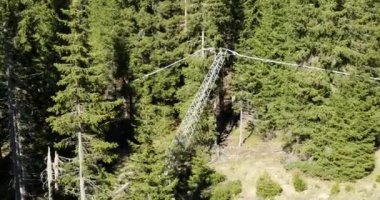 Ormanda elektrik direği bükülmüş. Elektrik hattı fırtınadan sonra ağaçlara yaslanıyor.