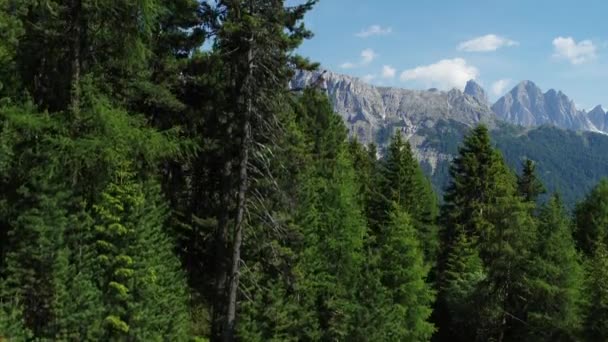 Letecký Vertikální Odhalující Záběr Dolomitů Jižním Tyrolsku — Stock video