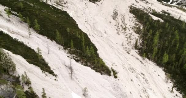 Antenne Des Ausgetrockneten Alpinen Flussbettes Steine Und Felsen Fanes Über — Stockvideo